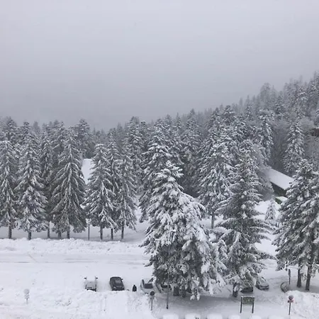 Confort Au Pied Des Pistes Du Lioran * 拉维西尔