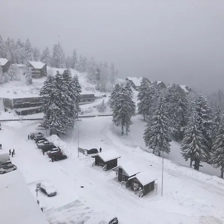 Confort Au Pied Des Pistes Du Lioran * 拉维西尔