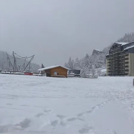 Confort Au Pied Des Pistes Du Lioran Laveissière
