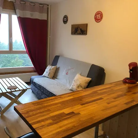 Confort Au Pied Des Pistes Du Lioran 아파트